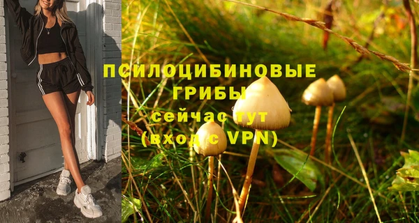 скорость Абаза