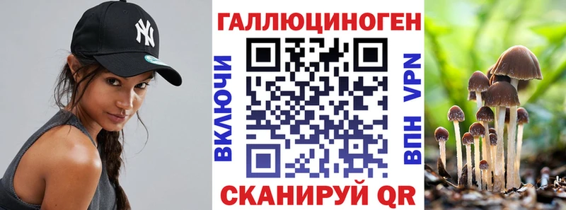 как найти закладки  Учалы  Псилоцибиновые грибы мицелий 